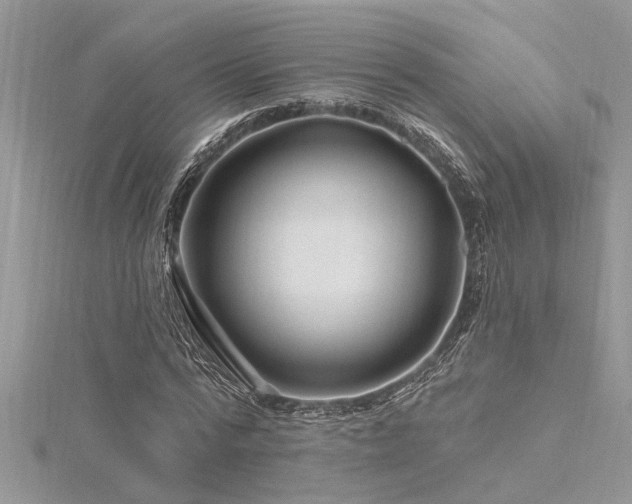 X0000116280776200911301357