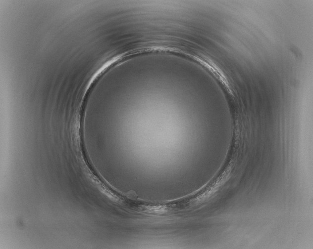 X0000116280798200911301357