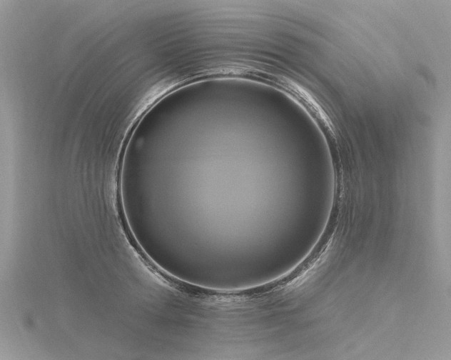 X0000116280802200911301356