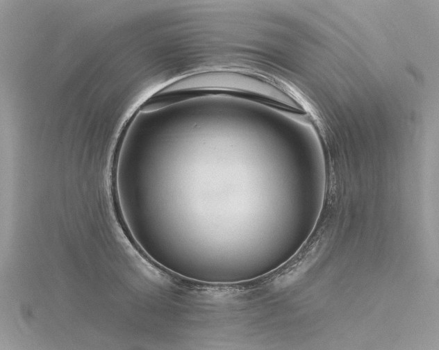 X0000116280803200911301356