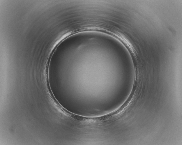 X0000116280806200911301356