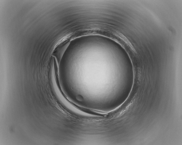 X0000116280826200911301356