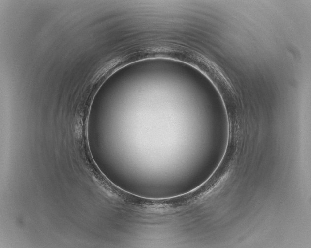 X0000116280833200911301356