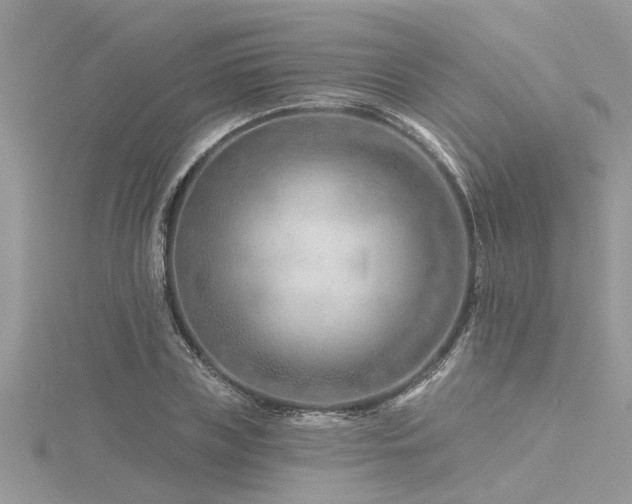 X0000116280835200911301356
