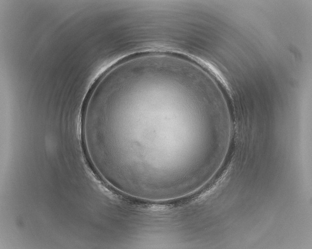 X0000116280839200911301356