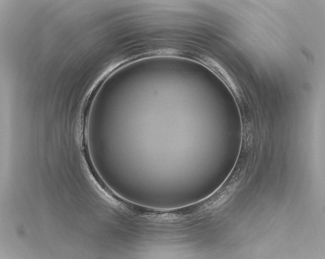 X0000116280851200911301356
