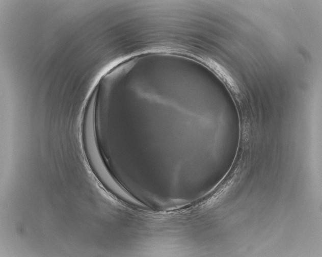 X0000116280854200911301356