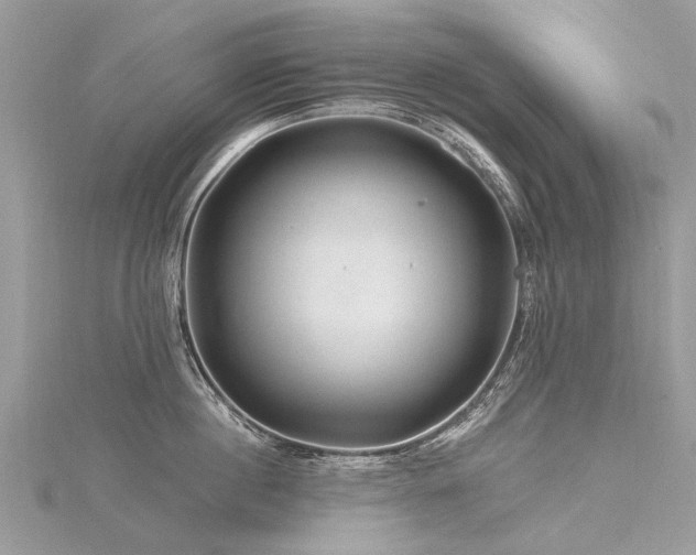 X0000116280860200911301356