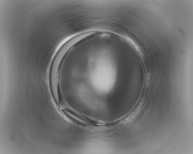 X0000116280862200911301356
