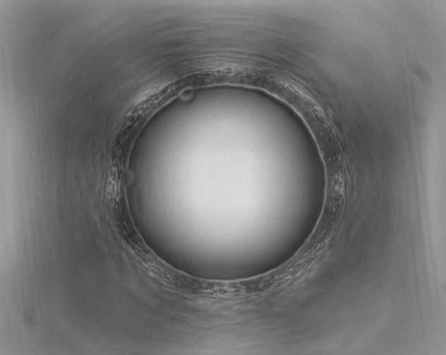 X0000116280869200911301356