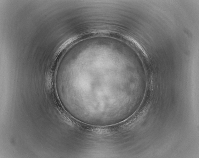 X0000116280874200911301356