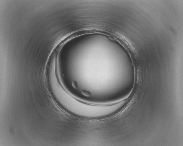 X0000116280876200911301356