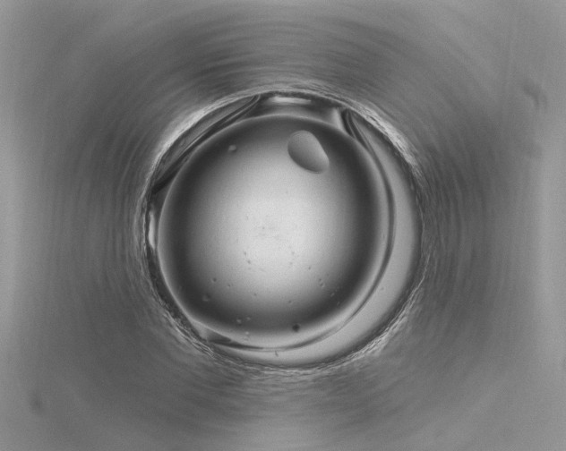 X0000116280877200911301355