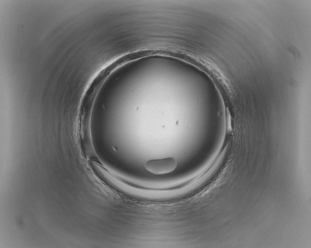 X0000116280880200911301355