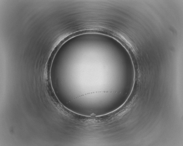 X0000116280883200911301355