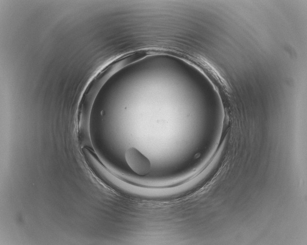 X0000116280884200911301355