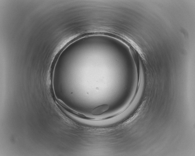 X0000116280885200911301355