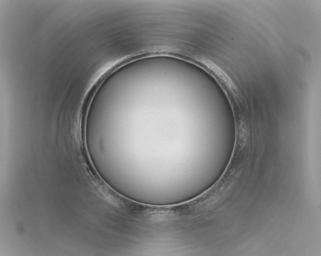 X0000116280886200911301355