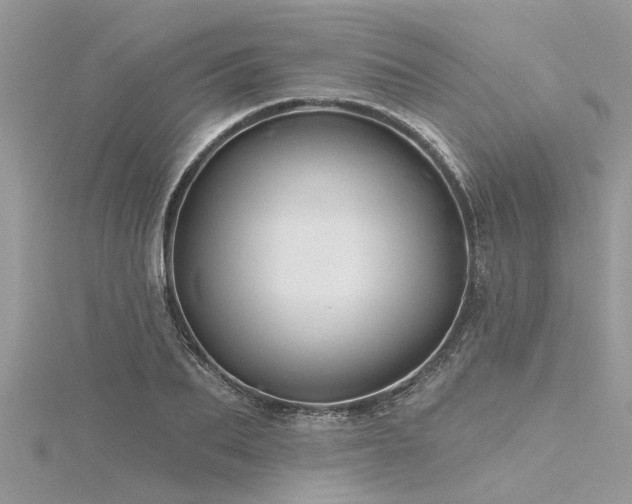 X0000116280887200911301355