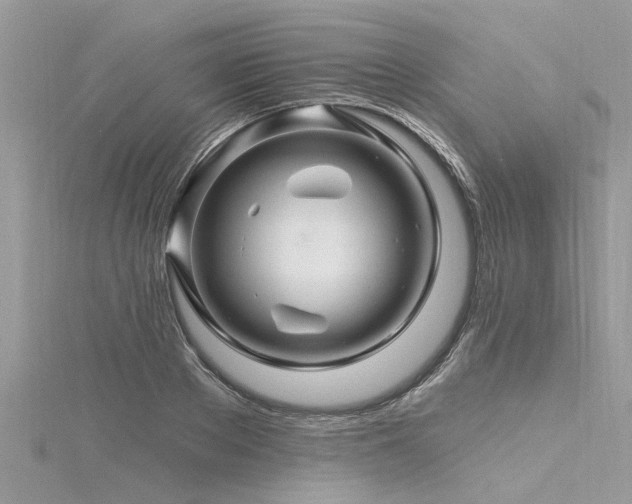 X0000116280889200911301355