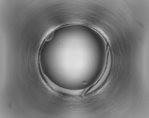 X0000116280901200911301355