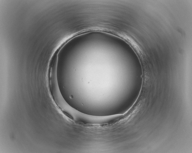 X0000116280902200911301355