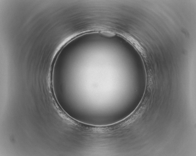 X0000116280904200911301355