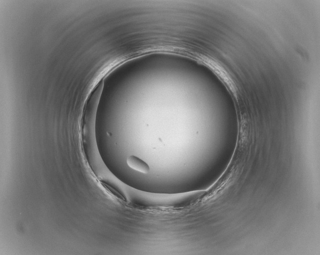 X0000116280906200911301355