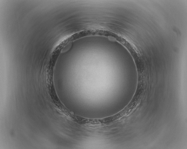 X0000116280919200911301355
