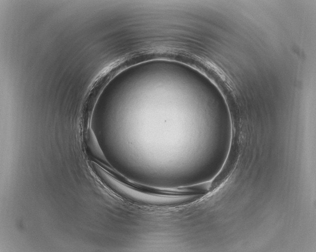 X0000116280922200911301355