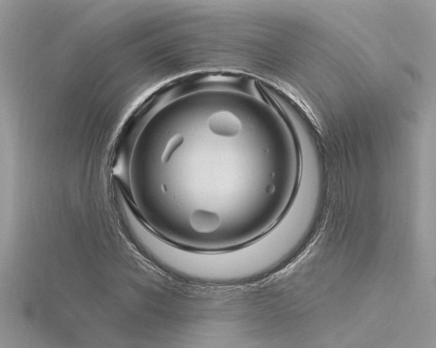 X0000116280926200911301355