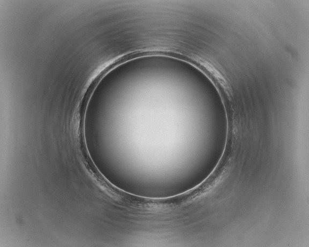 X0000116280933200911301355