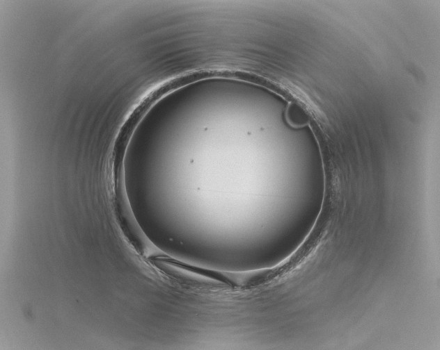 X0000116280934200911301355