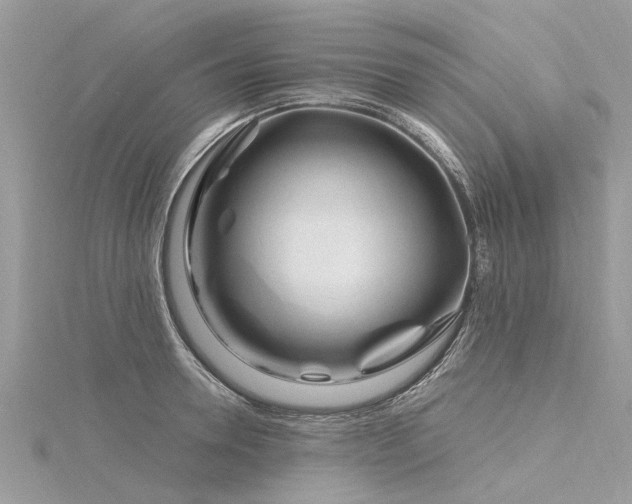 X0000116280946200911301355