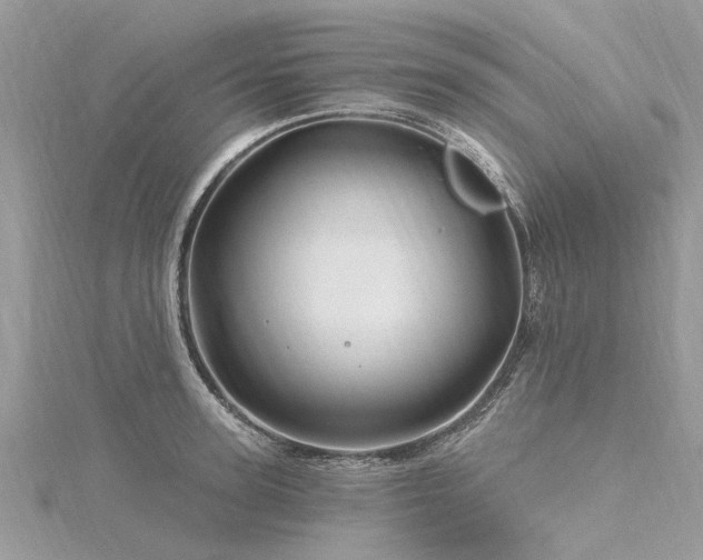 X0000116280947200911301355