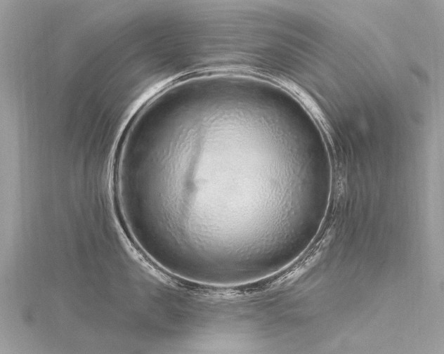 X0000116280957200911301355