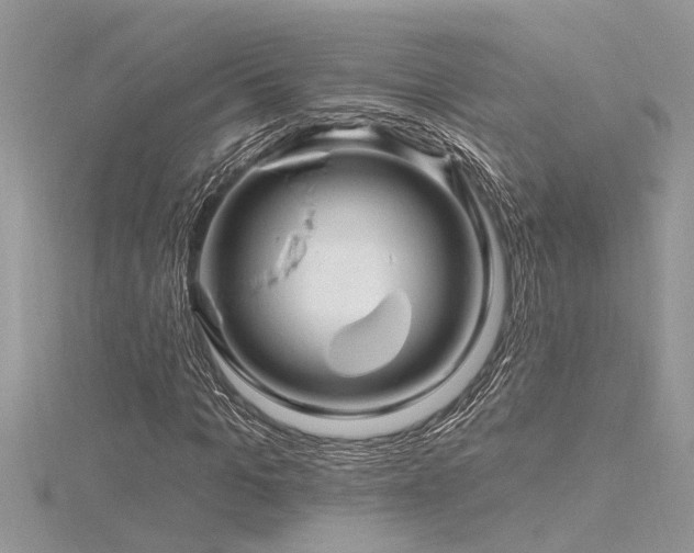 X0000116280965200911301354