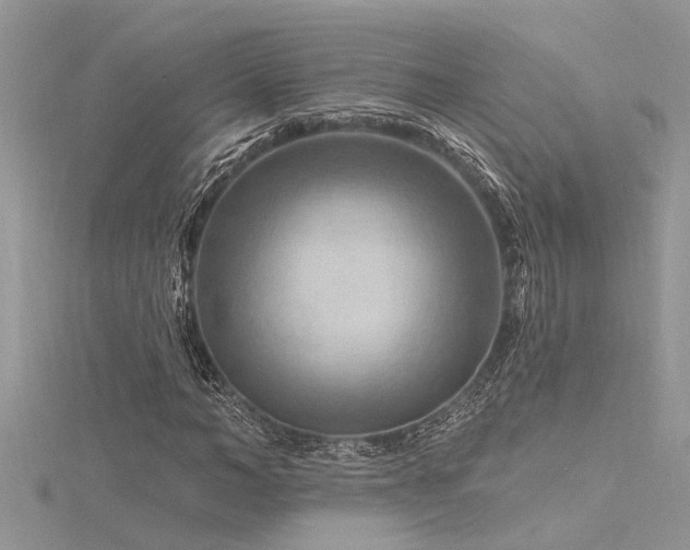 X0000116280966200911301354