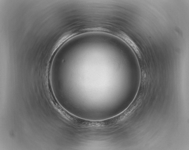 X0000116281002200911301354