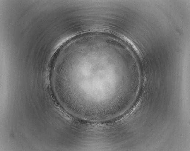 X0000116281019200911301353