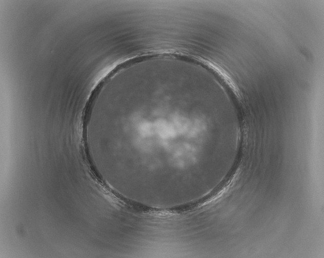 X0000116281023200911301353
