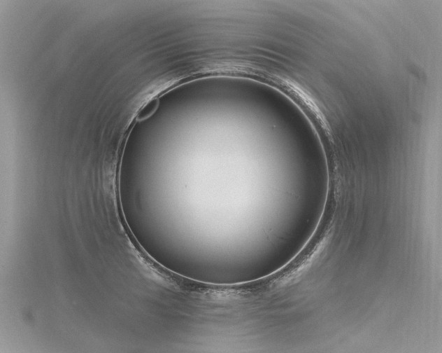 X0000116281041200911301353