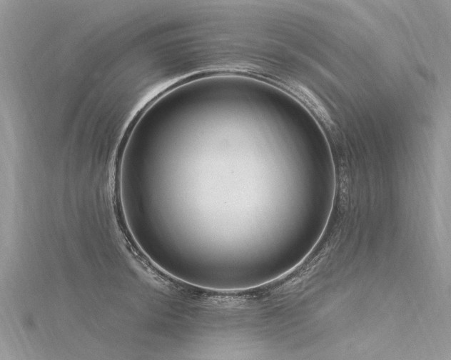 X0000116281044200911301353
