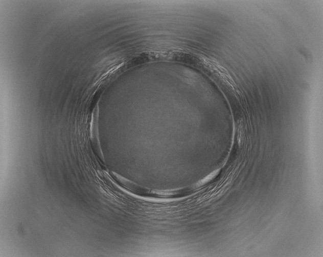 X0000116281060200911301353