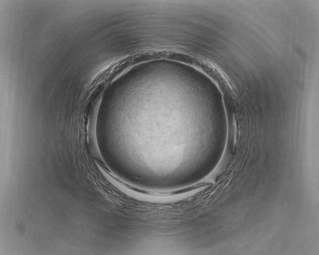 X0000116281064200911301353