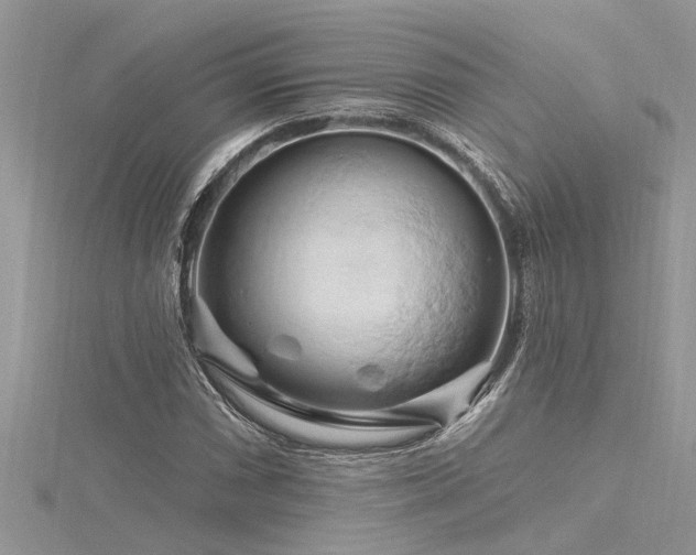 X0000116281066200911301353
