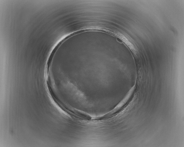 X0000116281084200911301353