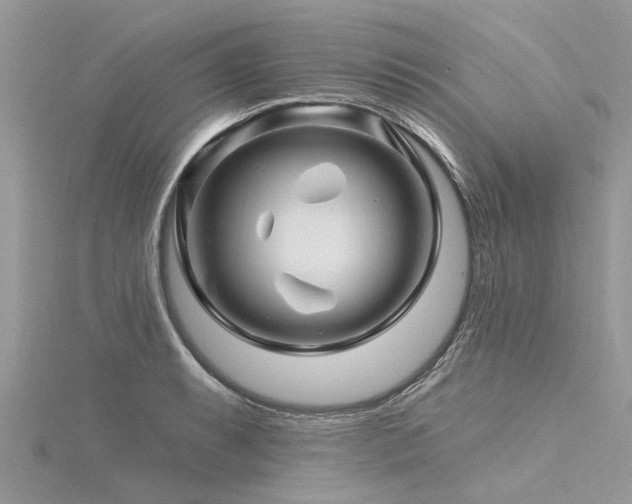 X0000116281087200911301353