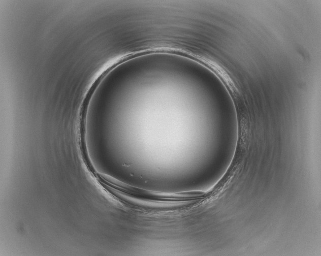 X0000116281142200911301352