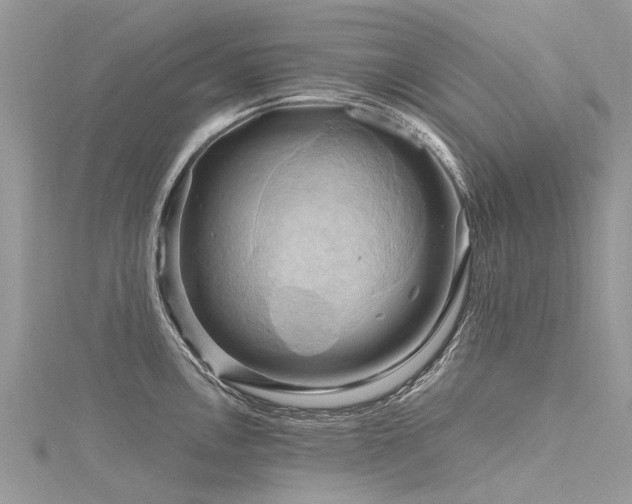 X0000116281146200911301352
